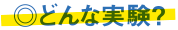 どんな実験?
